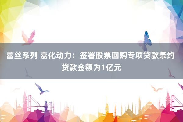 蕾丝系列 嘉化动力：签署股票回购专项贷款条约 贷款金额为1亿元